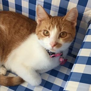 Meet your Posher, Molly